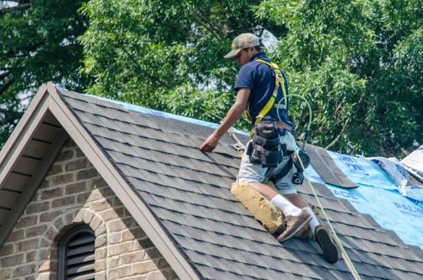 Best Storm Damage Roof Repair  in Big Sandy, TX